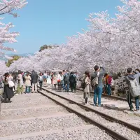 蹴上インクラインの写真・動画_image_308478