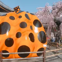 【閉館】フォーエバー現代美術館 祇園京都の写真・動画_image_308493