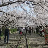 蹴上インクラインの写真・動画_image_308572
