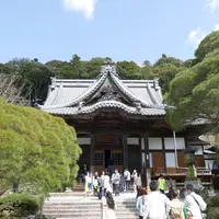 修善寺の写真・動画_image_308745