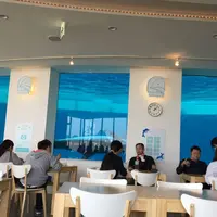 下関市立しものせき水族館・海響館の写真・動画_image_309026