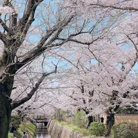 哲学の道の写真・動画_image_309291