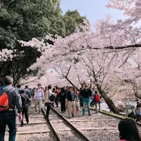 蹴上インクラインの写真・動画_image_309293