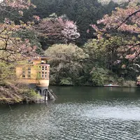 鎌北湖の写真・動画_image_309531