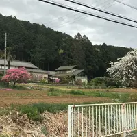 毛呂山町葛木の写真・動画_image_309534