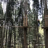 ターザニアの写真・動画_image_309821