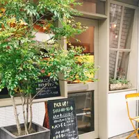 スギノキ SUGINOKIの写真・動画_image_309871