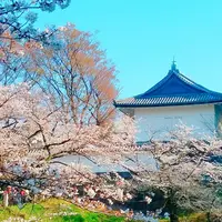 江戸城の写真・動画_image_310046