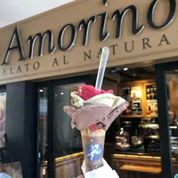 Amorino Nouméaの写真・動画_image_310219