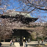 建長寺の写真・動画_image_310240
