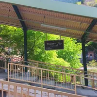 大山ケーブルカーの写真・動画_image_310313