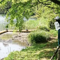 井の頭恩賜公園の写真・動画_image_310758