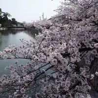 九華公園(桑名城趾)の写真・動画_image_310802