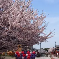 六華苑の写真・動画_image_311022