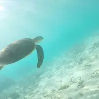 渡嘉志久ビーチの写真・動画_image_311024