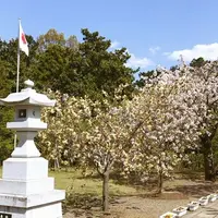 茨城県護国神社の写真・動画_image_311436