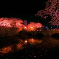 福井城址の写真・動画_image_311473