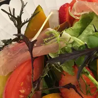 手毬の写真・動画_image_311539