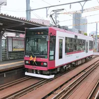 路面電車　都電荒川線の写真・動画_image_311608