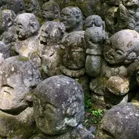 愛宕念仏寺の写真・動画_image_311644