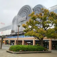 イオン 新浦安店の写真・動画_image_311646