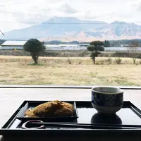 もちとこの写真・動画_image_312099