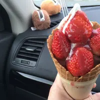 あさむら いちご園の写真・動画_image_313090