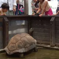 アクア・トトぎふの写真・動画_image_313095