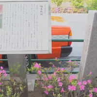 梅屋敷跡の写真・動画_image_313225