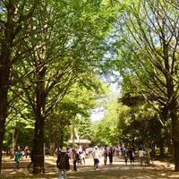 光が丘公園の写真・動画_image_313324