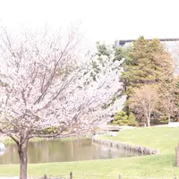 中島公園の写真・動画_image_313613