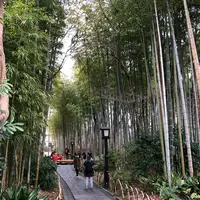 竹林の小径の写真・動画_image_313692