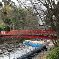 恋の橋の写真・動画_image_313702