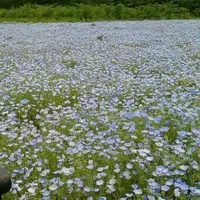 富田さとにわ耕園の写真・動画_image_314171