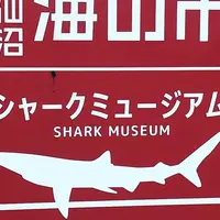 気仙沼シャークミュージアムの写真・動画_image_314235