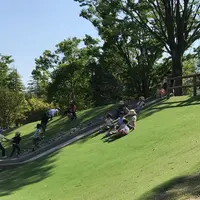 岐阜県こどもの国の写真・動画_image_314692