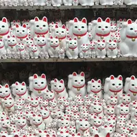 豪徳寺の写真・動画_image_314909