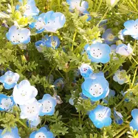 138タワーパークの写真・動画_image_314975