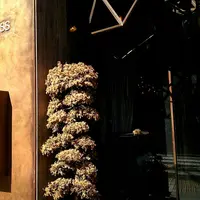 GODDESSの写真・動画_image_315083