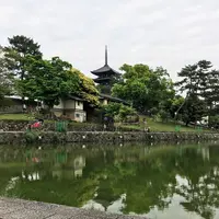 猿沢池の写真・動画_image_315634
