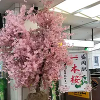 盛岡駅の写真・動画_image_315914