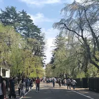 角館武家屋敷通りの写真・動画_image_315923