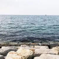 郡家港海浜公園の写真・動画_image_316280