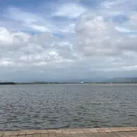 柴山潟の写真・動画_image_316358