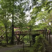 あやとりはしの写真・動画_image_316359