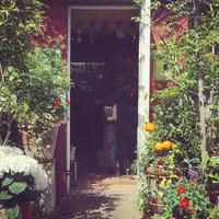 COUNTRY HARVESTの写真・動画_image_316395