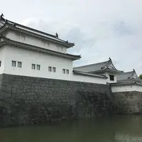 駿府城址の写真・動画_image_316553