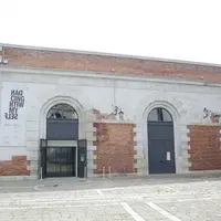 Punta della Doganaの写真・動画_image_317031