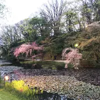 千秋公園の写真・動画_image_317157