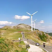 四国カルストの写真・動画_image_317352